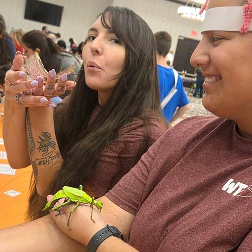 Entomology Club